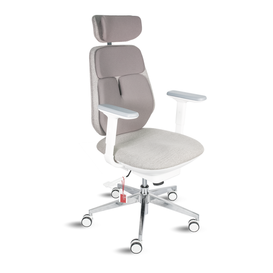 Scaun de birou Backrobo Air Smart Chair C2