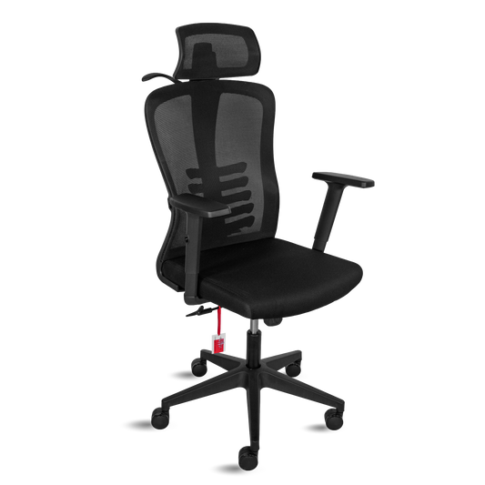 scaun-ergonomic-vitaholm-space-v2-black