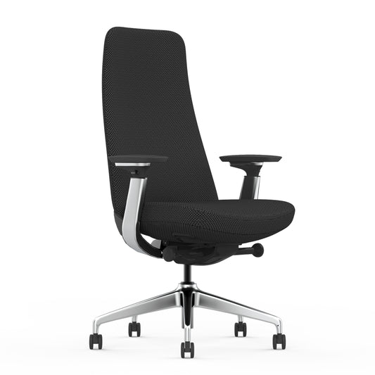 Scaun de birou ergonomic Vitaholm Yukan Graphite
