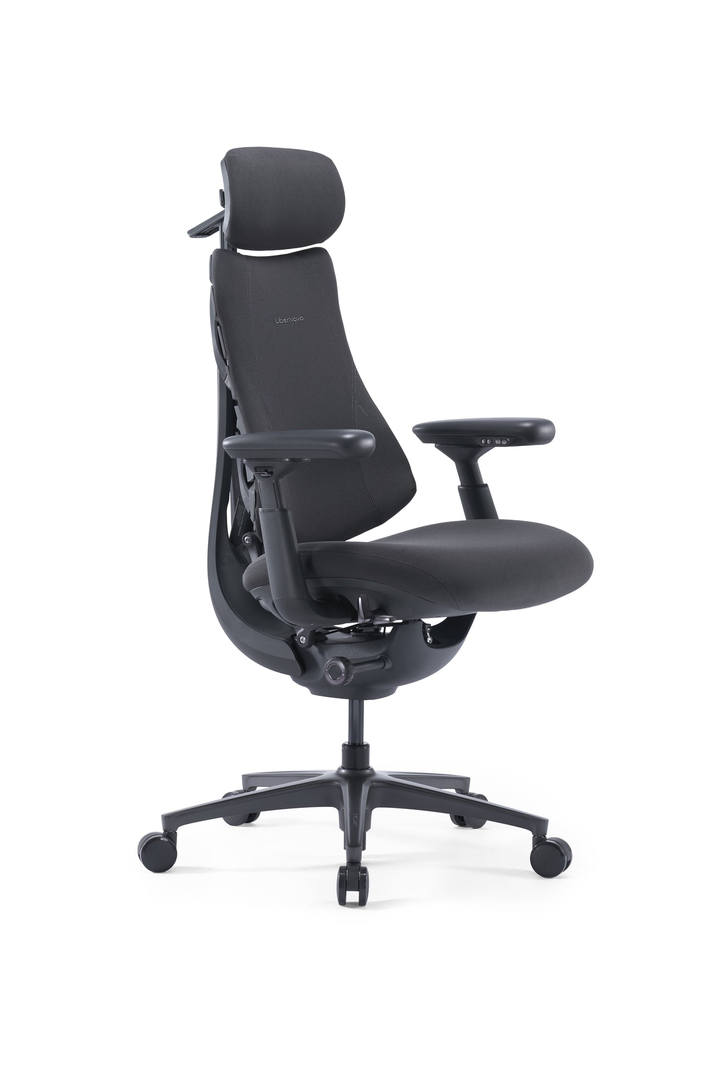 Scaun de birou ergonomic LiberNovo Omni PRO Dynamic negru – vedere din spate