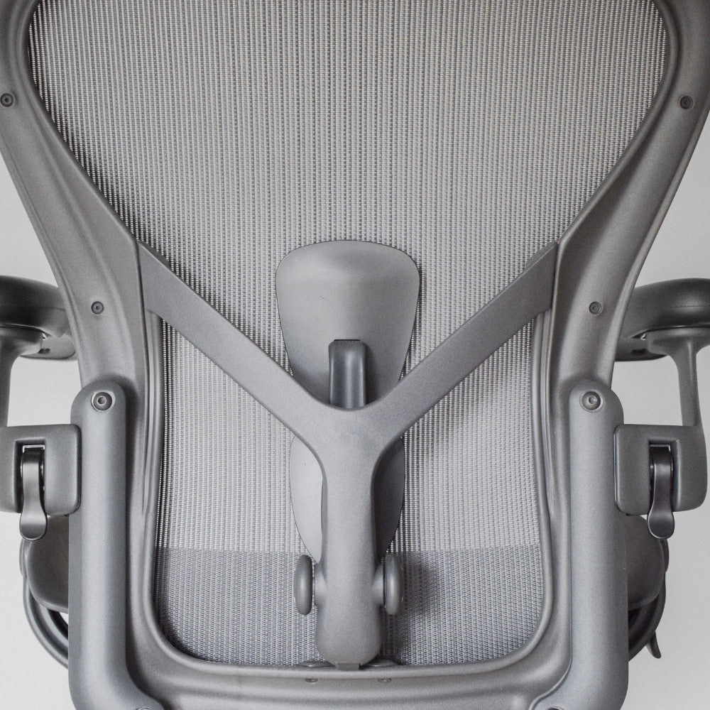 Suport Lombar Posture Fit SL Aeron Remastered B