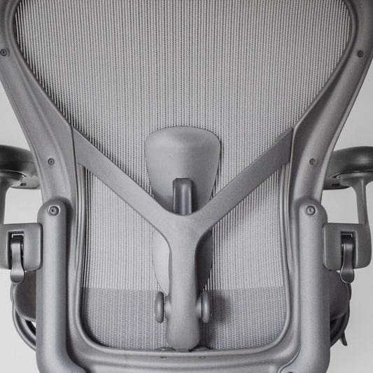 Suport Lombar Posture Fit SL Aeron Remastered B