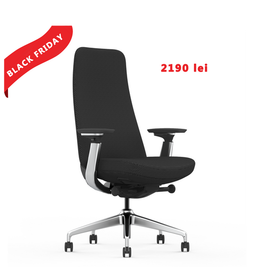 Scaun de birou ergonomic Goodtone Yukan Graphite