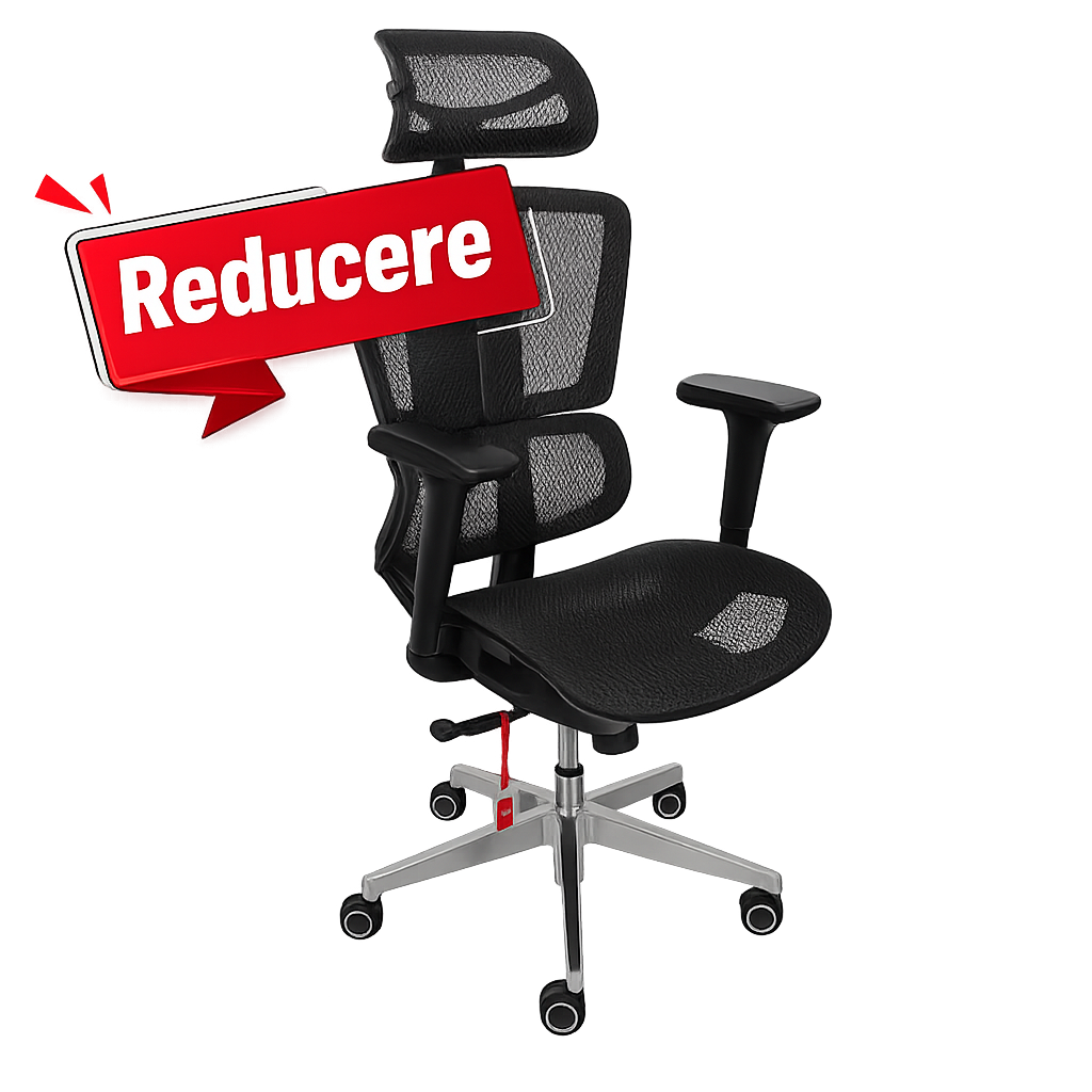 Scaun de birou ergonomic Vitaholm Master negru