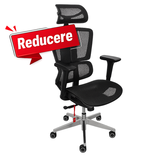 Scaun de birou ergonomic Vitaholm Master negru